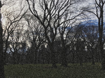 Bare trees against a brightening sky, vague monoliths in among them.