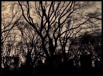 Bare trees against a parchment sky, with vague monoliths in among them.